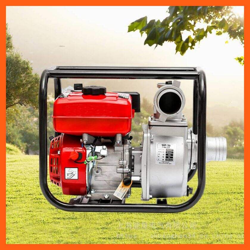Diesel Pump 12V Features and Advantages