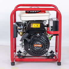 Portable Inverter Gasoline Generator