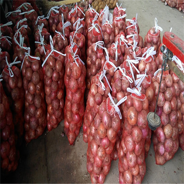 Innovation of Bulk Onion Bags