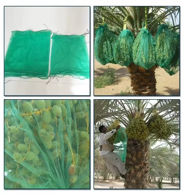 Middle East Popular Hdpe Monofilament UV Date Palm Tree Net Mesh Bags