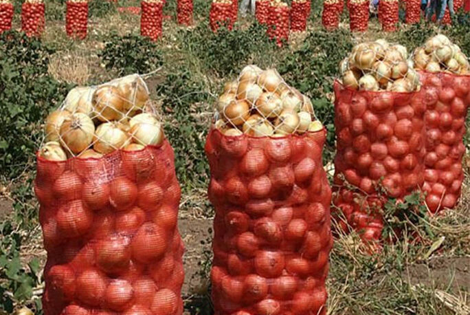 50x80 cm PP PE Fresh Fruit Onion Sacks Packing Leno Mesh Bag For Vegetables