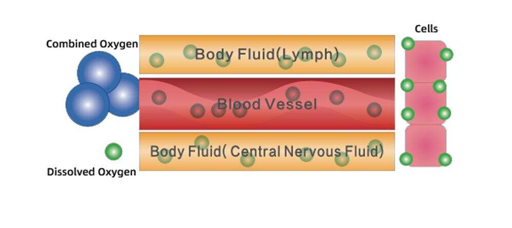 About dissolved oxygen