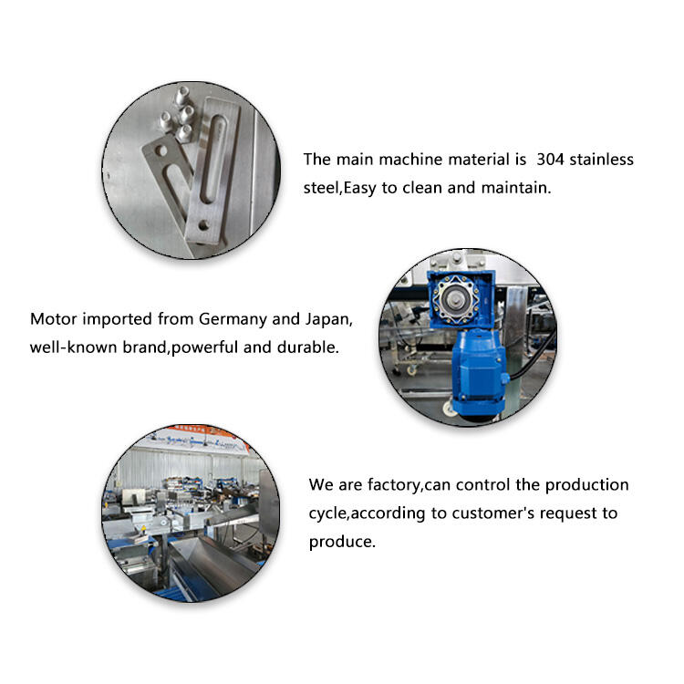 CE Automatic tortilla machine simple wraps making machine food processing line factory