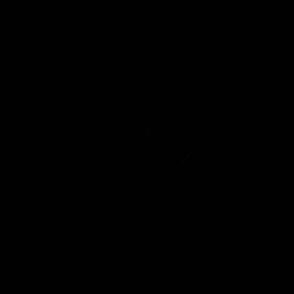 Untersuchung der Sicherheits- und Gesundheitseffekte von Tetrahydrofurfurylalkohol