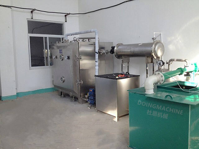 Industrial vacuum tray dryer price factory