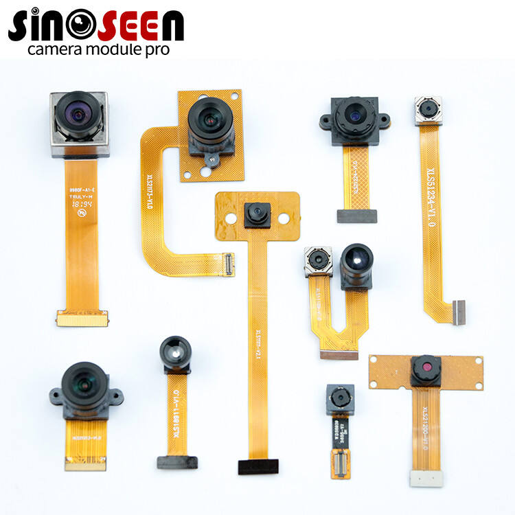 OEM Flexible FPC DVP MIPI Camera Module Auto Focus Customization