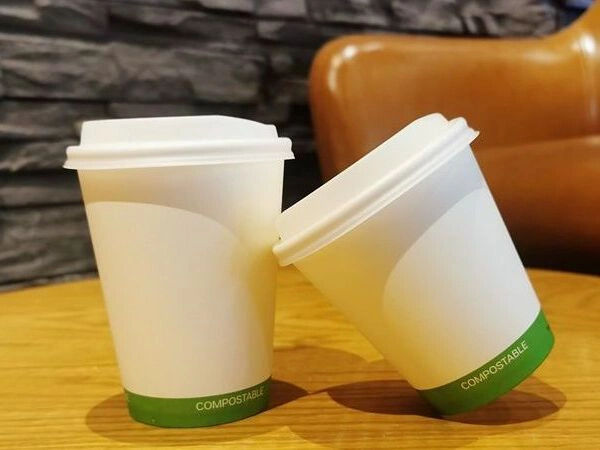 Best PLA Paper Cup Brands for Environment-Friendly Shoppers