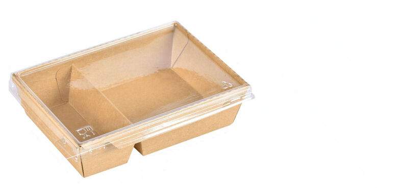 Two compartment lunch box with clear PET lid FOR take away food details