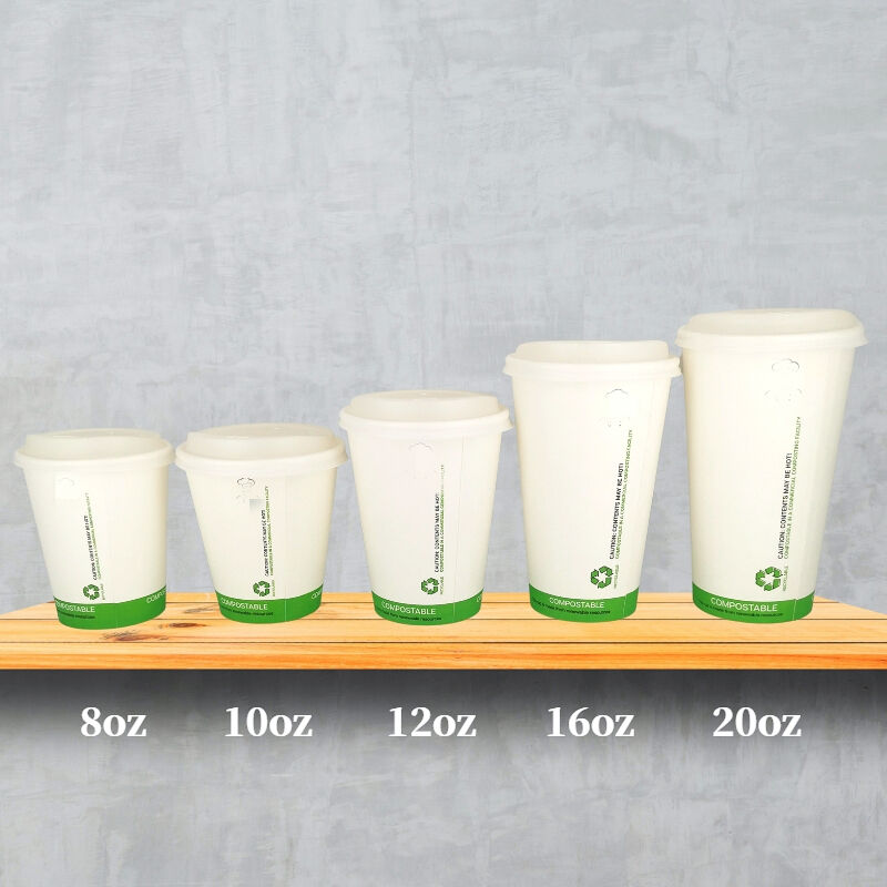 100% compostable PLA paper cup for coffee hot soup manufacture