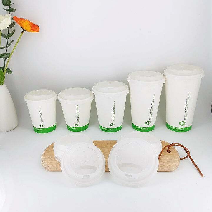 100% compostable PLA paper cup for coffee hot soup supplier