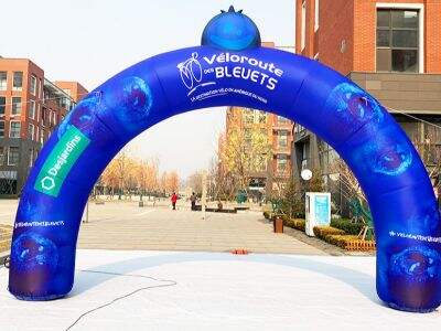 Aero Hot Sale Advertising Inflatables Recommendation