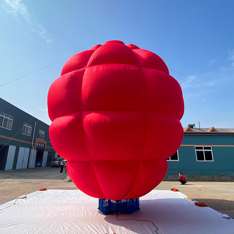 Inflatable Hot Air Balloon