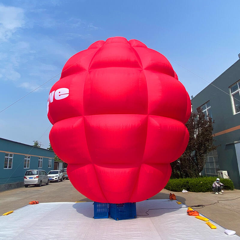 Inflatable Hot Air Balloon