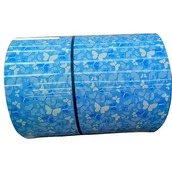 أطلق العنان لابتكارك مع ملفات PPGI المخصصة من صانع رئيسي