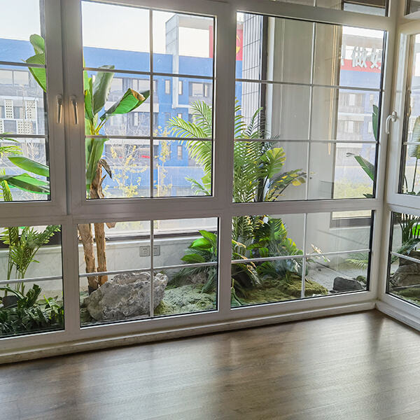 Innovation in French Windows
