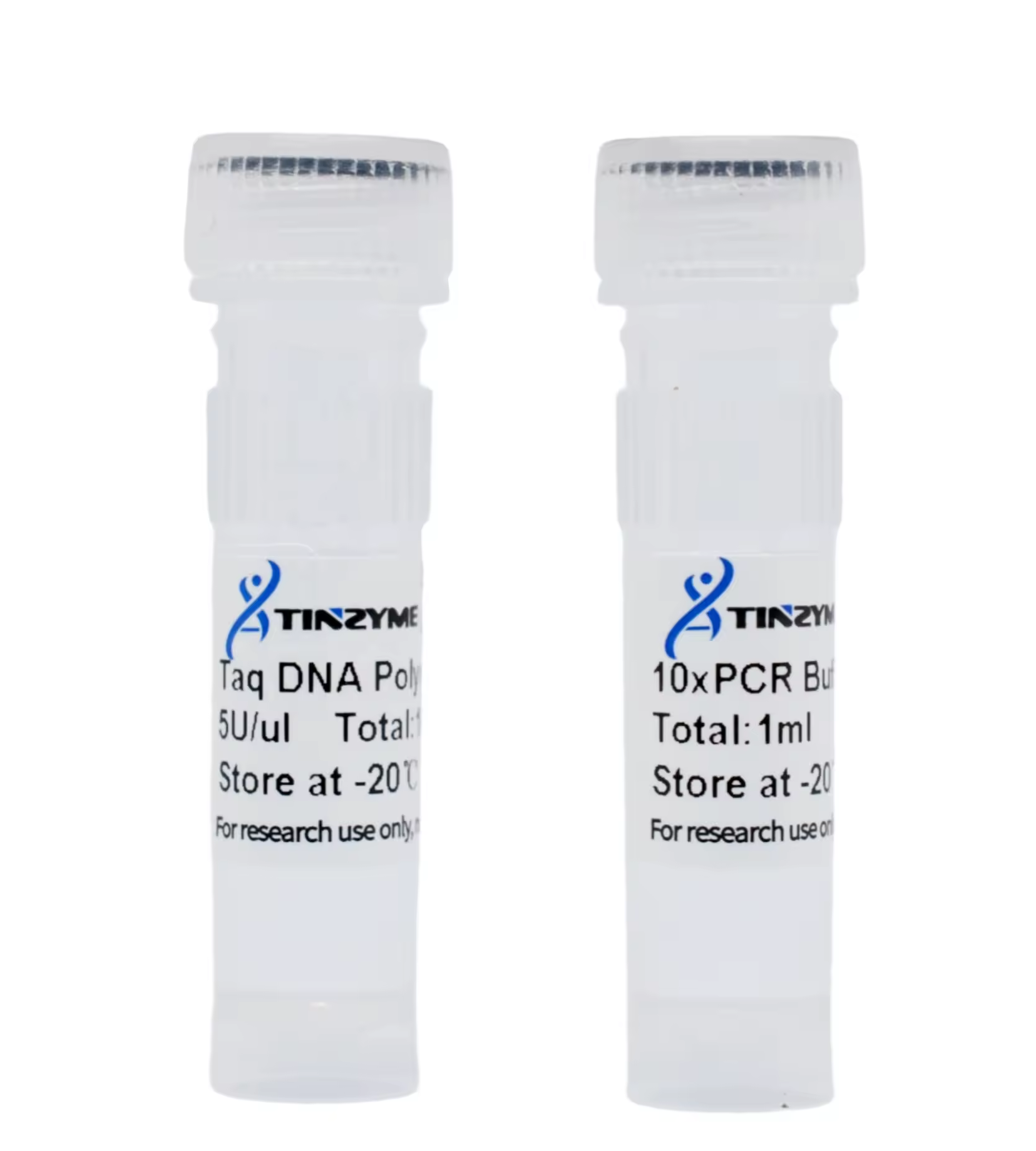 Poly A Polymerase: The Key to RNA Amplification