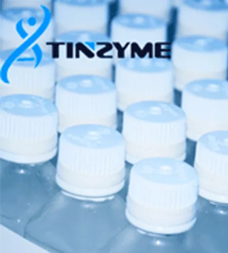 Tinzyme RNase Inhibitor: A Critical Component in RNA Therapeutics Development