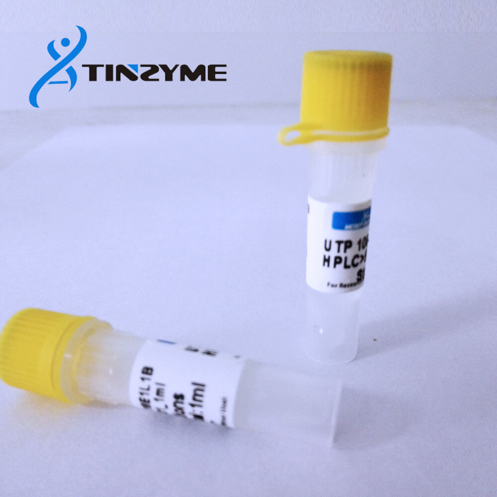 UTP 100mM solution-Reliable Uridine 5′-triphosphate, sodium salt solution