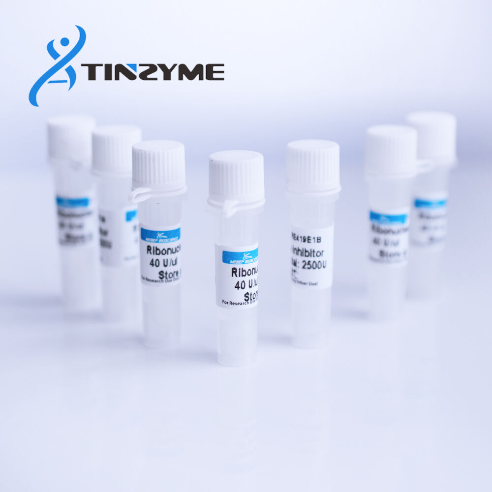 Highly Pure Ribonuclease Inhibitor Solution - RNase Inhibitor 40U/μl, Optimal for RNA Protection in cDNA Synthesis and Molecular Biology Applications