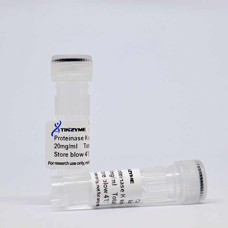 Proteinase K Solution, 20mg/ml, Room Temperature Stable, High Purity, Broad-Spectrum Serine Protease for DNA/RNA Extraction & Protein Degradation in Biological Samples, Enhanced Stability and Consistent Performance