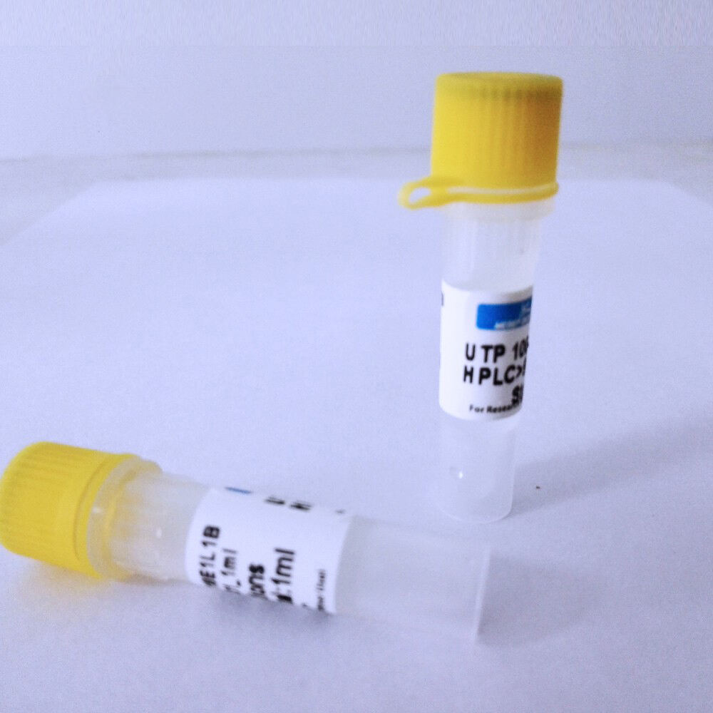 UTP 100mM solution-Reliable Uridine 5′-triphosphate, sodium salt solution