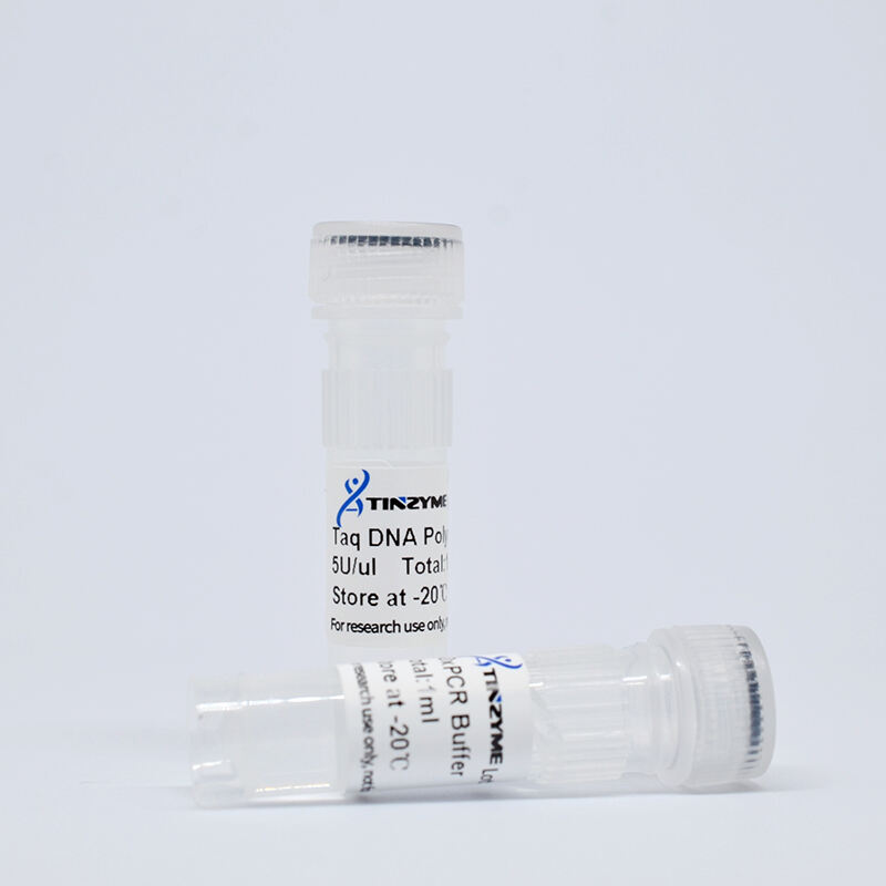 Taq DNA Polymerase Bulk Pack - High Fidelity, Robust Thermal Stability, Process-Optimized Enzyme Solution for Enhanced PCR Amplification Efficiency and Reliable RT-PCR Performance in High Throughput Applications, Ideal for Genotyping, Cloning, Library Pre