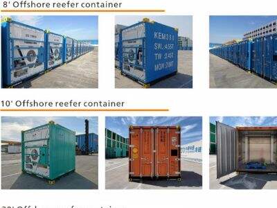 How to Choose the Right Reefer Container Size for Your Business