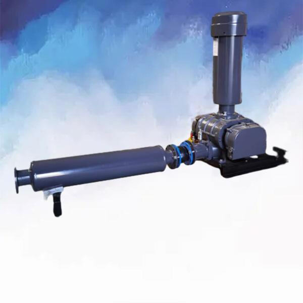 Key Factors to Consider When Selecting a Root Blower Type