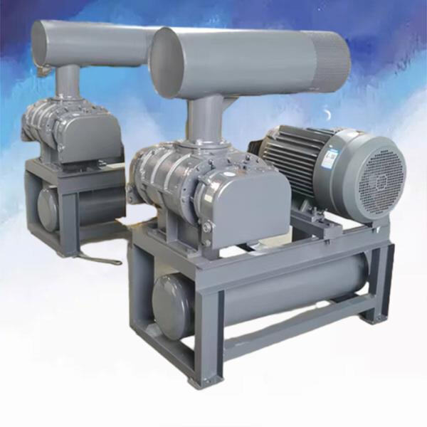 Exploring the different variations of lobe type air blowers