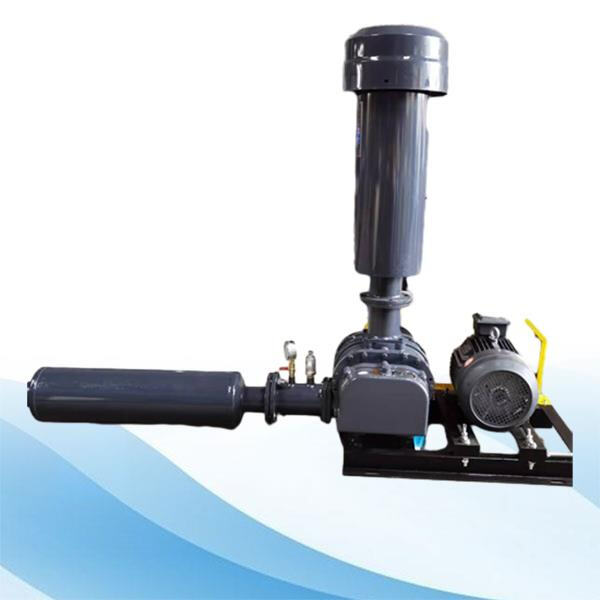 How twin lobe roots blowers are transforming industries?