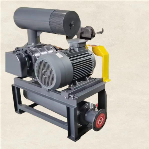 Maintenance and Troubleshooting of Root Blower 1 HP