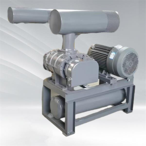 The Benefits of Screw Blowers for Pneumatic Conveying Systems