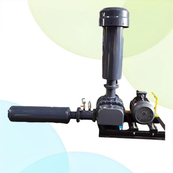 Maintenance tips for ensuring optimal performance of lobe roots blowers