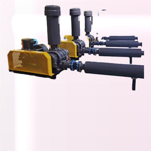 Durable and Reliable 2 HP Root Blower for Aeration in Aquaculture