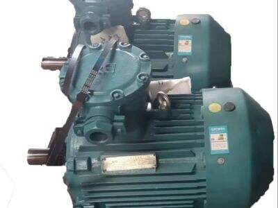 Air cooled roots blowers are available in different designs, making them compatible with various control systems.