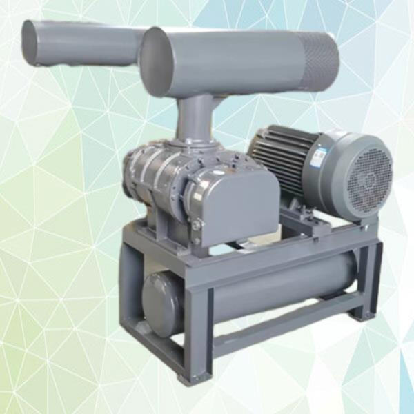 How does a pneumatic conveying system work for conveying powders?