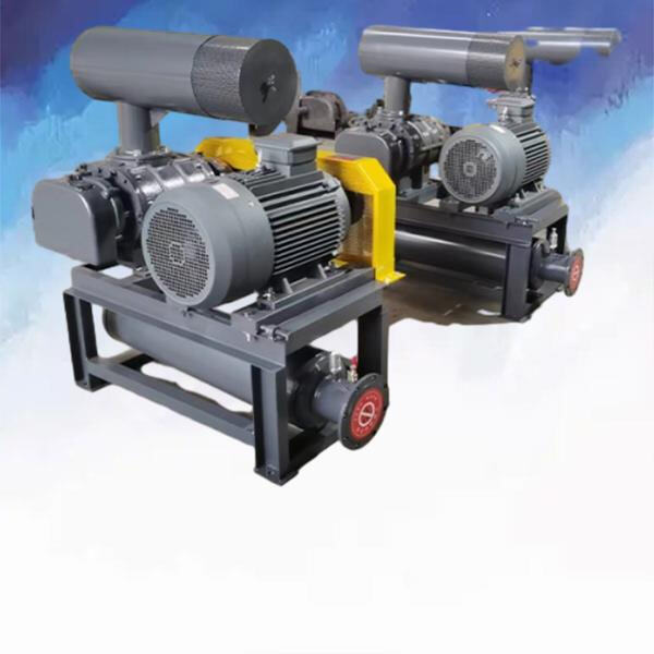 Finding a 2 HP Roots Blower at an Affordable Price