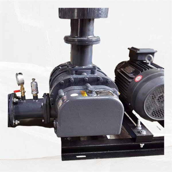 Revolutionize your operations with the lobe blower technology