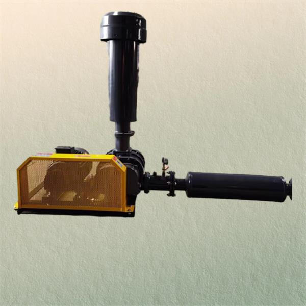 Versatile Applications for the Roots Blower 20HP