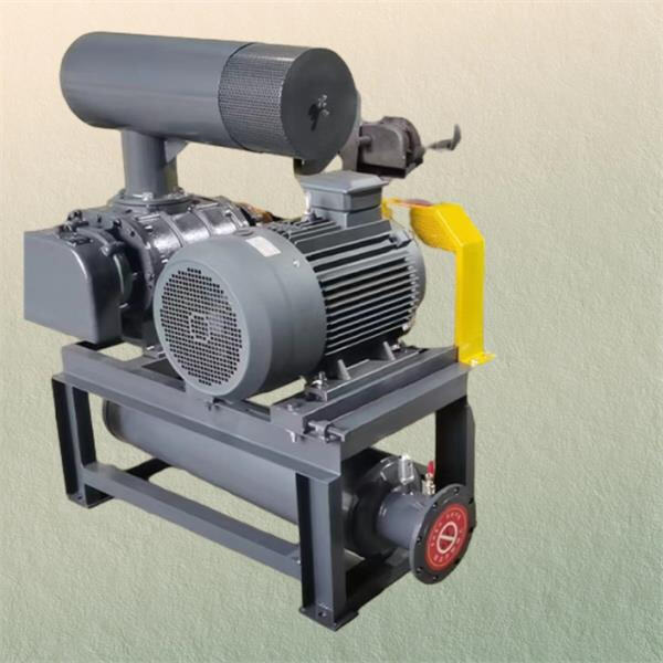 Verhoog produktiwiteit met gevorderde Roots blower-toesighede