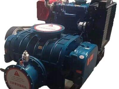 Top 5 specialized Roots blower manufacturer para sa aquaculture wastewater treatment sa Singapore