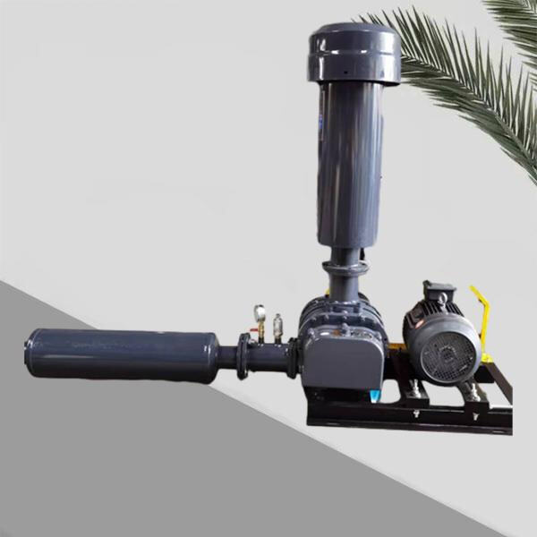 သင့်လိုအပ်ချက်များအတွက် ထောင်းမီ Roots Rotary Lobe Blower ကို ဘယ်လိုရွေးချယ်မလဲ
