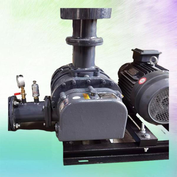 Utilizing the performance curve to improve roots blower performance and reliability