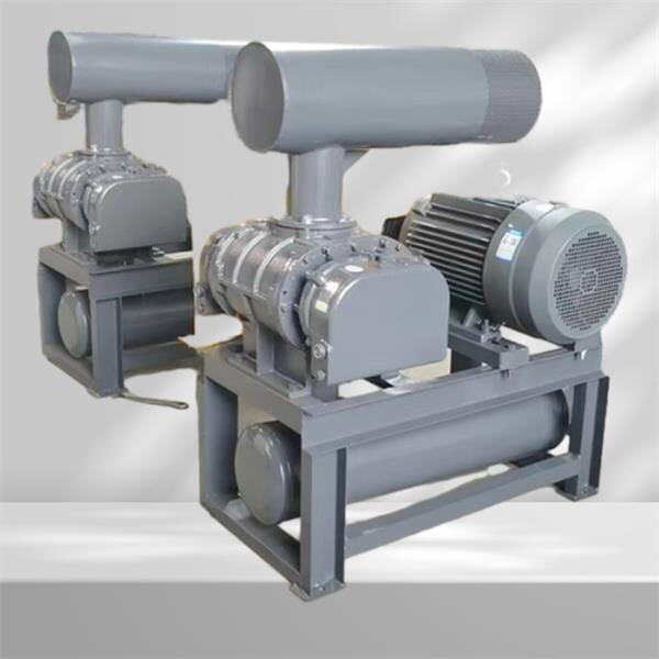 Upgrade Your Industrial Vacuum Setup with a Roots Booster Pump