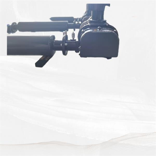 Explore the compact and versatile design of the 2 HP Roots Blower for easy installation and use.