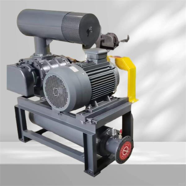 Case studies of successful lean phase conveying system implementations