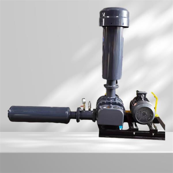 How air conveyor manufacturers tailor their products to meet specific industry needs.