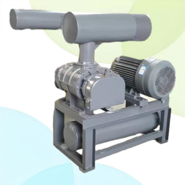 How Roots Vacuum Enhances Industrial Processes