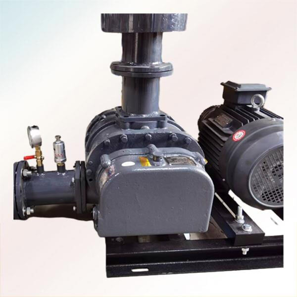 Hiểu về thiết kế và chức năng của máy thổi roots ba thùy