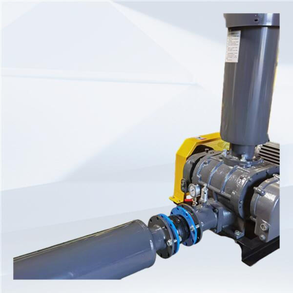 Maximize Extraction Speed and Capacity with a Roots Booster Vacuum Pump
